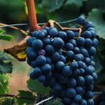 BLOG2 1